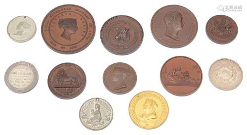 A collection of 19th century prize medals