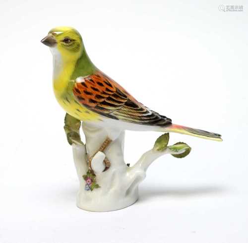 Meissen bird