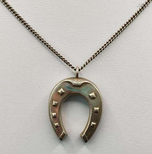 Horseshoe necklace, double sided horseshoe pendant on chain,...
