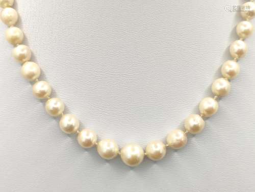 Akoya wedding necklace, necklace made of selected creamy whi...