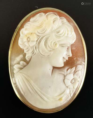 Shell cameo pendant/brooch, with girl profile, set in 750/18...