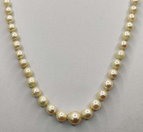 Pearl necklace, pearls increasing in size towards the center...