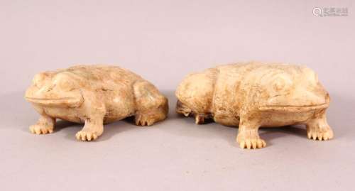 A PAIR OF CHINESE 19TH / 20TH CENTURY CARVED SOAPSTONE FROGS...