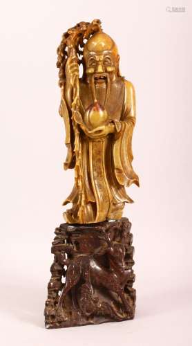 A CHINESE CARVED SOAPSTONE FIGURE - SHOU LAO - the figure of...