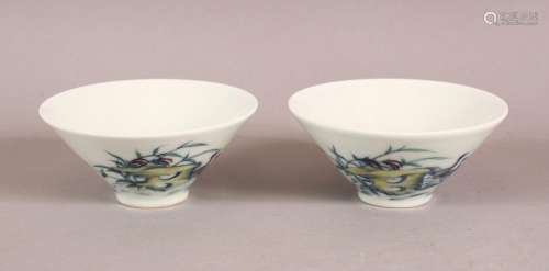 A PAIR OF 19TH / 20TH CENTURY CHINESE DOUCAI DECORATED PORCE...