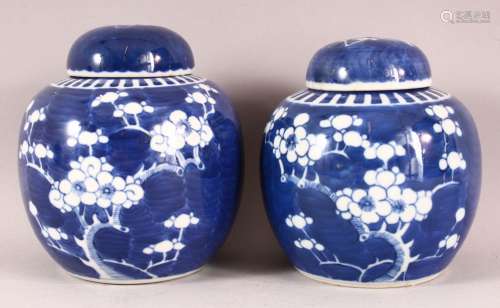 TWO 19TH / 20TH CENTURY CHINESE BLUE & WHITE PORCELAIN P...