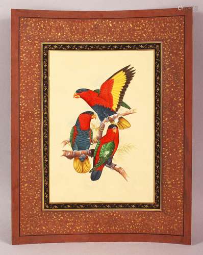 A FINE QUALITY 19TH/20TH CENTURY INDIAN PAINTING OF PARROTS,...