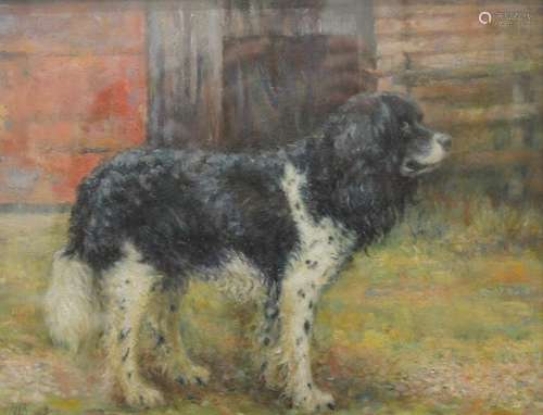 ENGLISH SCHOOL, A Portrait of a Spaniel, oil on board, signe...