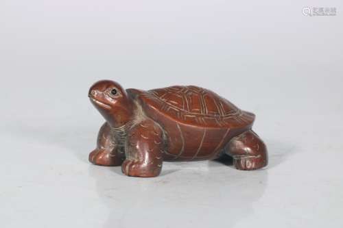 chinese boxwood turtle