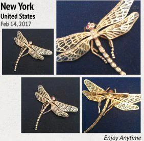 Chinese Enamel Dragonerfly Brooche