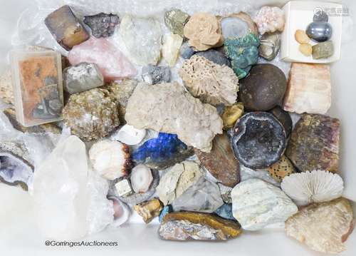 A collection of minerals etc. In two boxes