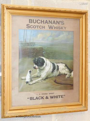 Buchanan's Scotch Whisky, 'black and white; a coloured adver...