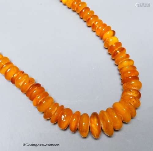 A single strand amber disc necklace, 67cm, gross weight 127 ...