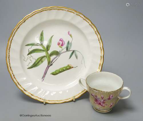 A Derby botanical plate painted with jointed prodded Lathyru...