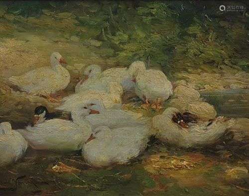 Comtesse de Varinka Canards, huile sur toile, 17x27 cm