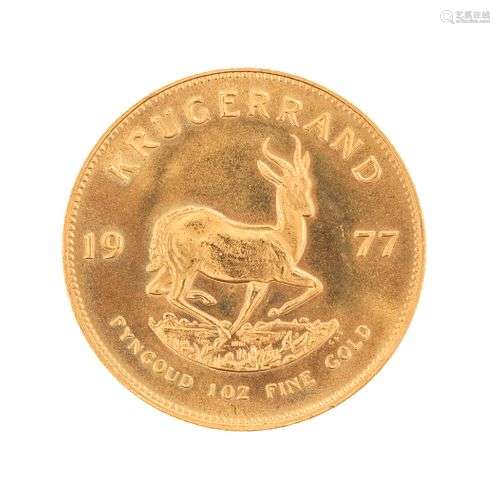 Pièce d'Afrique du Sud de 1 krugerrand datée 1977 Or 917, 34...