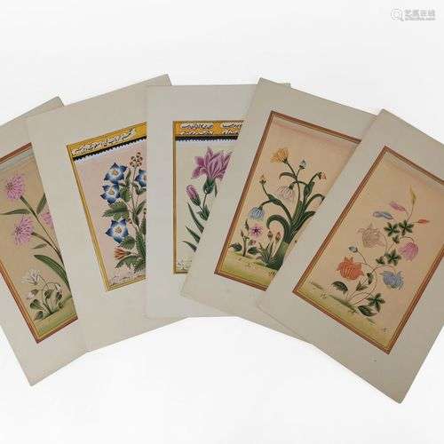 Ecole XXe s Fleurs, cinq planches de botanique, gouache sur ...