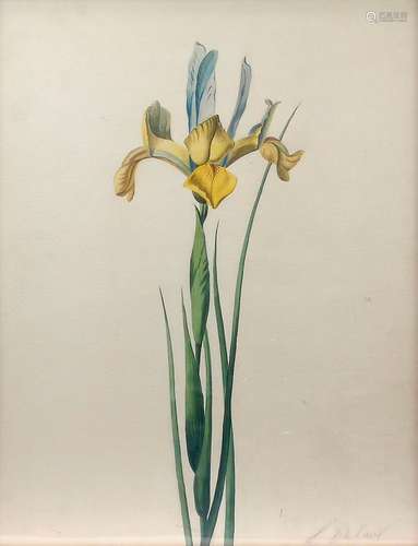 Frédéric Dufaux (1852-1943) Iris, suite de trois aquarelles,...