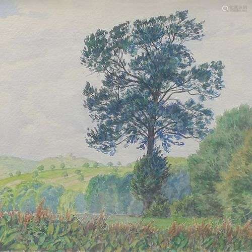 Regnault Sarasin (1886-1943) Arbre à Oberwil, aquarelle sur ...