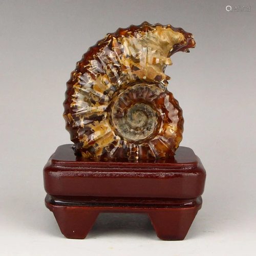 Natural Sea Conch Fossil Statue