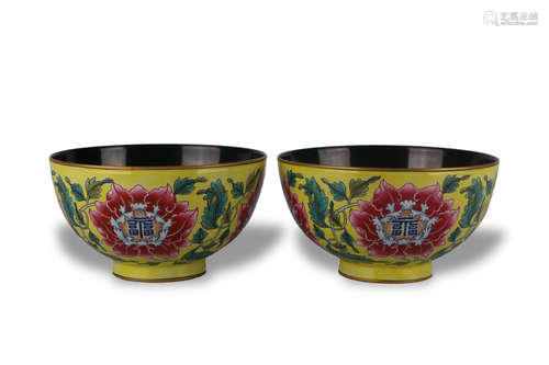 A PAIR OF ENAMEL BOWLS