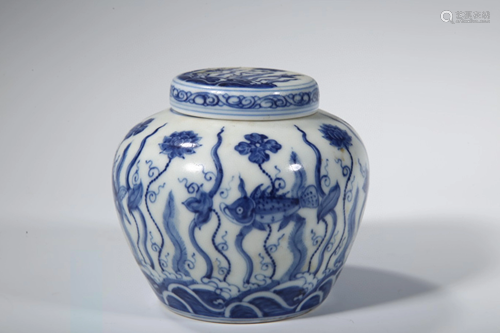 A Chinese Blue and White Porcelain Jar