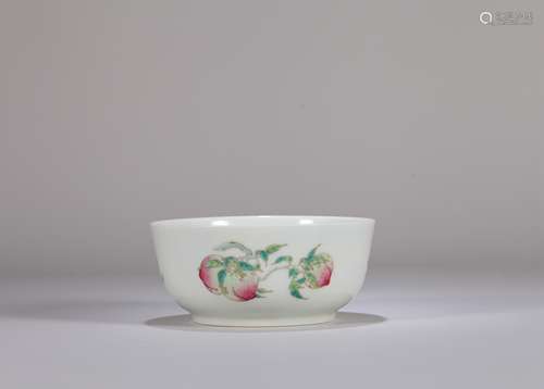 A Chinese Famille-Rose Porcelain Bowl