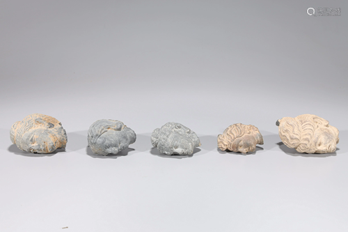 Group of Five Carved Gandharan Schist Heads