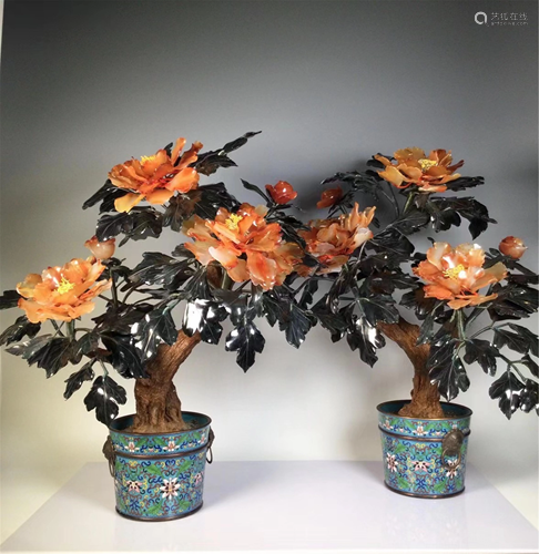 PAIR OF HARD-STONES FLORAL BONSAI WITH CLOISONNE BASINS