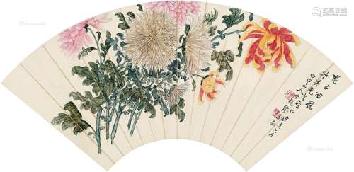 缪谷瑛（1875～1954） 菊花 扇片 纸本