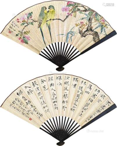 江寒汀（1903～1963） 鹦鹉 楷书 成扇 纸本