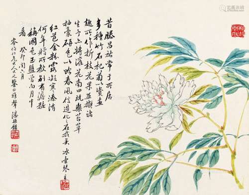 潘振镛（1852～1921） 国色天香 镜片 纸本