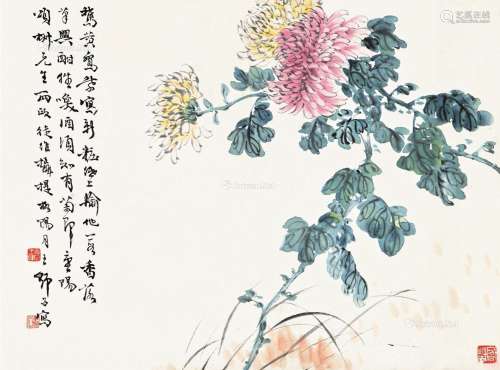 王师子（1885～1950） 菊 立轴 纸本