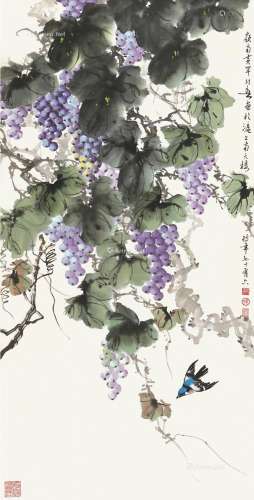 黄幻吾（1906～1985） 葡萄小鸟 立轴 纸本