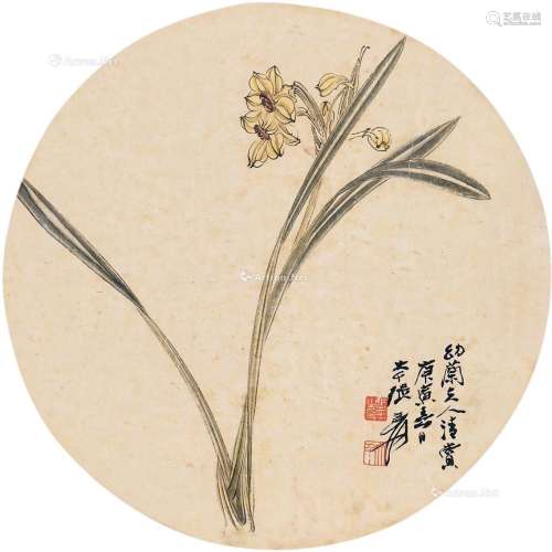 张大千（1899～1983） 水仙 团扇框 纸本