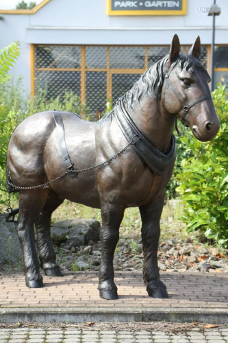 Pit horse