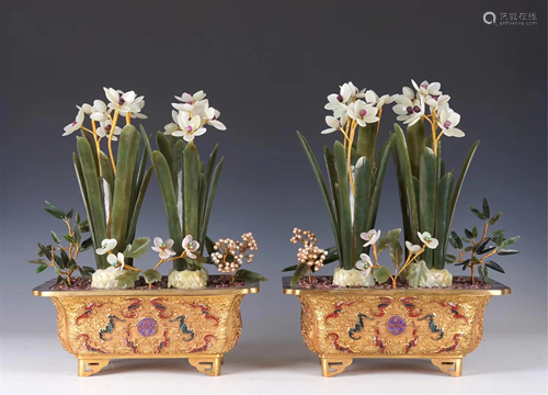 PAIR OF JADE NARCISSUS BONSAI WITH CLOISONNE BASINS