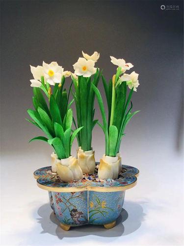 A CARVED NARCISSUS BONSAI WITH CLOISONNE BASIN