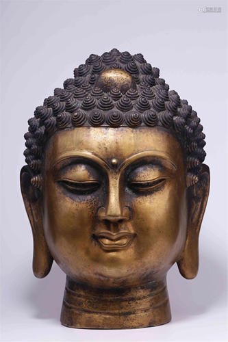 A GILT BRONZE SAKYAMUNI BUDDHA HEAD