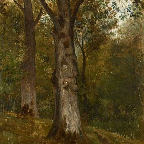 Jules COIGNET Paris, 1798 - 1860Etude d’arbres dans la forêt...