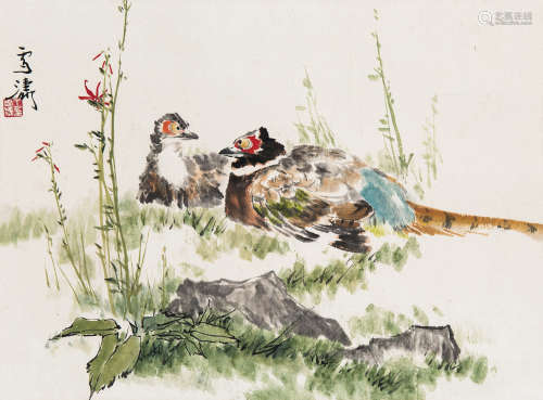 王雪涛（1903～1982） 锦鸡 立轴 设色纸本