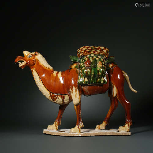 Tang Dynasty, Three Color Camel