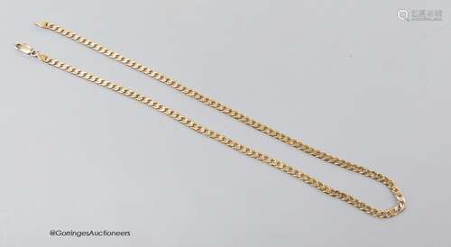 A 9ct gold flattened curb-link necklace, 47cm, 14.3 grams.