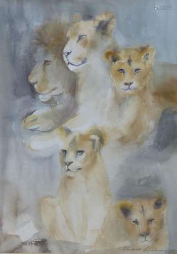 Crislett Lehmann, watercolour, Study of lions, signed and da...