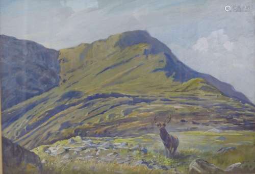 Frank Weller, watercolour, Stag in the Highlands, signed, 36...