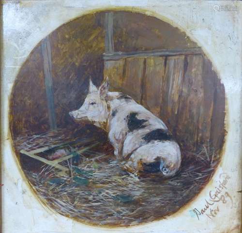 Paul Gaisford, oil on board, Pig in a stye, signed and dated...