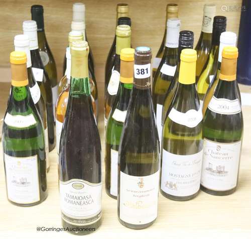 Twenty two assorted white wines including Chateau La Caussad...