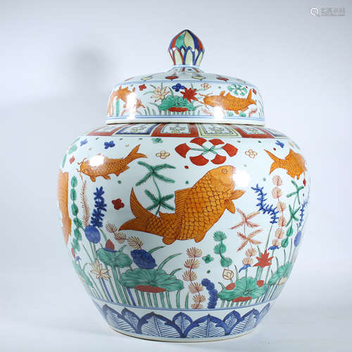 Colorful fish and algae covered pot of Ming Dynasty