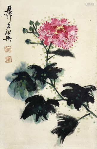 谢稚柳 芙蓉