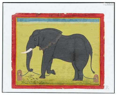 Portrait of an Elephant